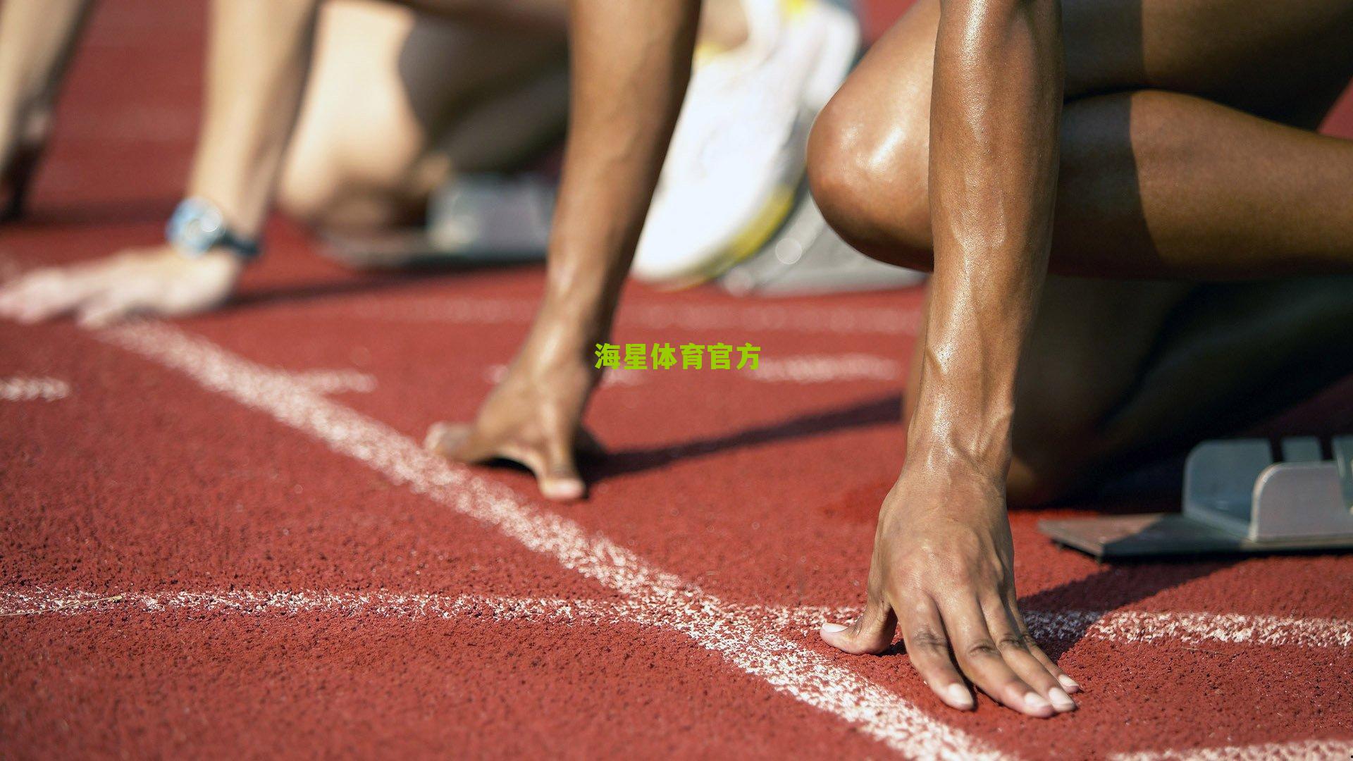 中国击剑俱乐部联赛十周年,梦想与汗水铸就的成长之路